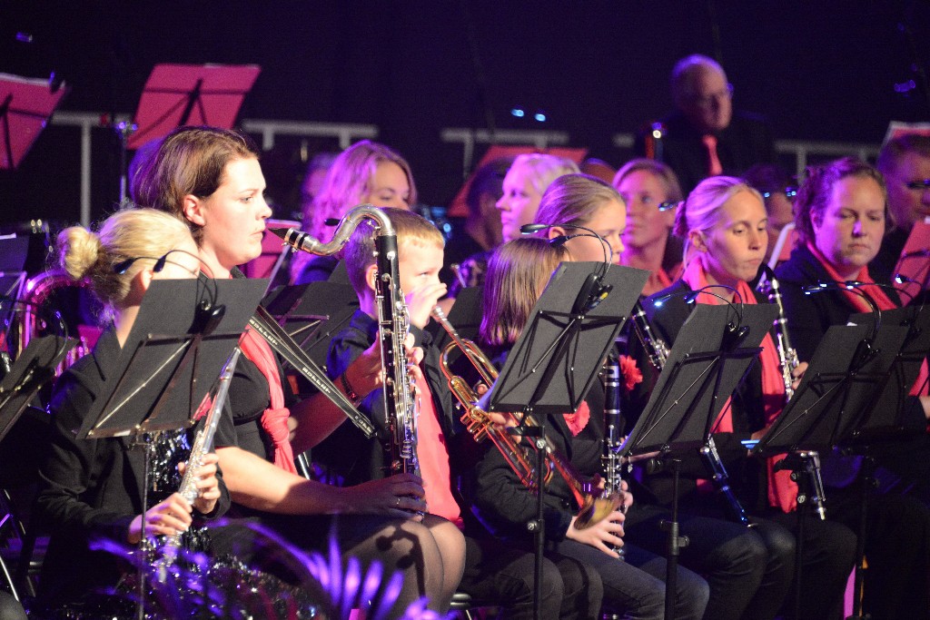 ../Images/Jubileumconcert 100 jaar Harpe Davids 127.jpg